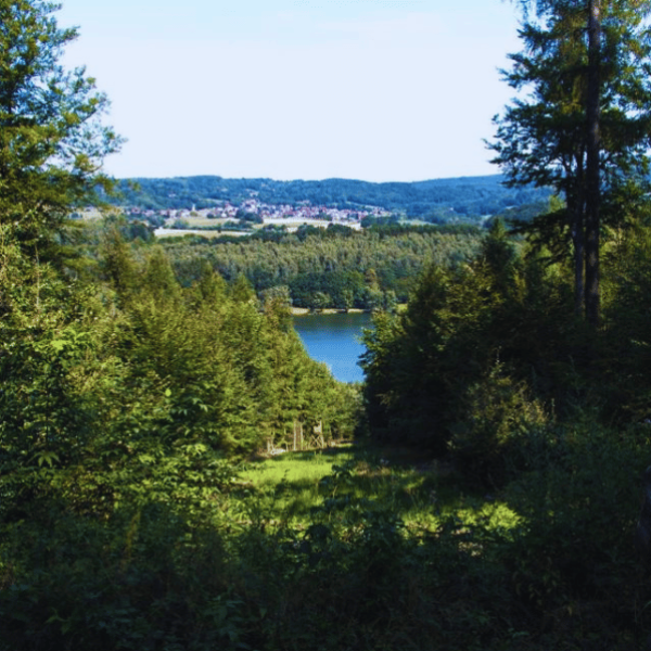 Umgebung