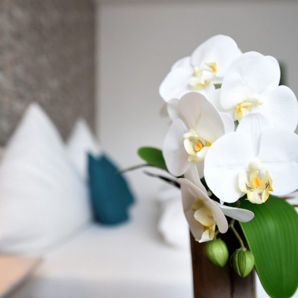 Zimmer & Suites_ (2)