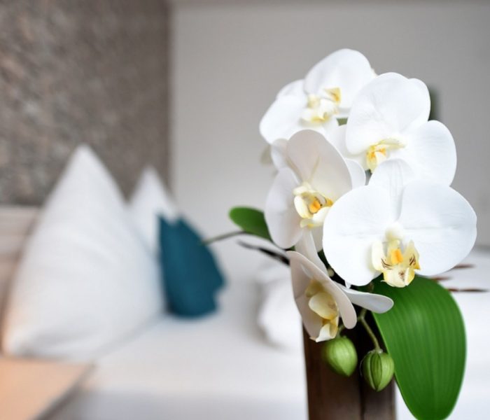 Zimmer & Suites_ (2)